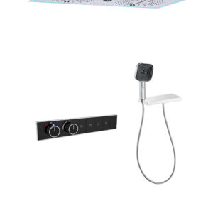Thermostatic Shower System